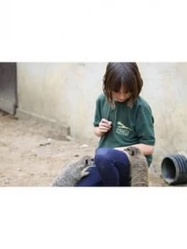 Image of Virgin Experience Days Meet And Feed The Meerkats For Two At Millets Falconry Centre, Oxfordshire