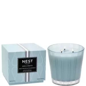 Image of Nest New York Driftwood Chamomile Scented Candle 600g