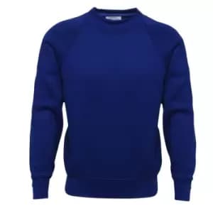 Image of Absolute Apparel Childrens/Kids Sterling Sweat (7-8 Years (128cm)) (Royal)