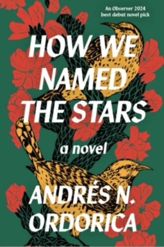 Image of How We Named the Stars Paperback / softback