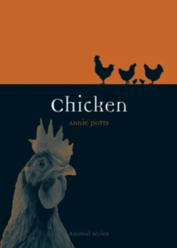Image of Chicken Paperback / softback