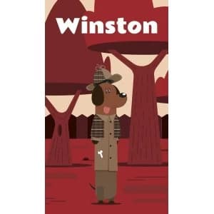 Image of Winston Card Game