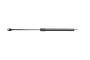 Image of RIDEX Tailgate strut BMW 219G0385 51241932330,51241937422,51248103180 8103180