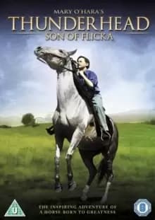 Image of Thunderhead - Son of Flicka