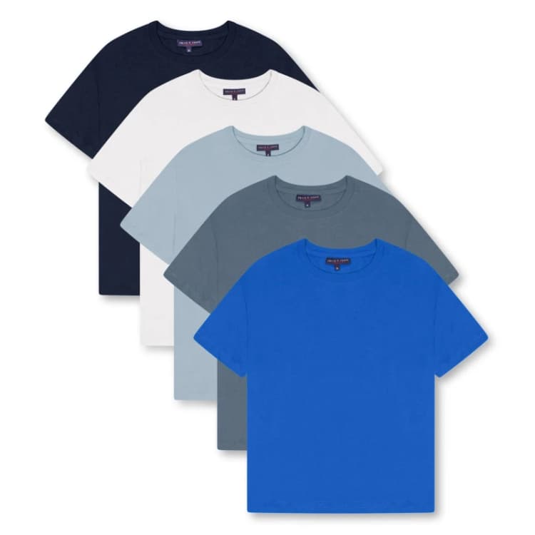 Image of Smith & Jones 5 Pack 'Bluesy' T-Shirt Multi