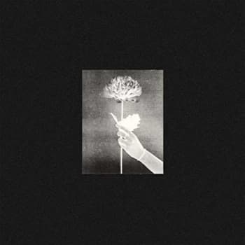 Image of White Flowers - Day By Day CD