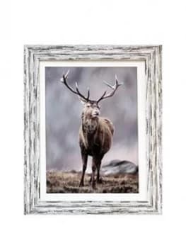 Image of Arthouse Highland Stag Framed Print