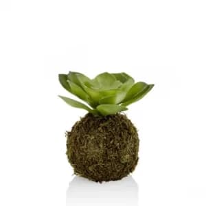Image of CCK0119 Green Succulent Artificial Plant