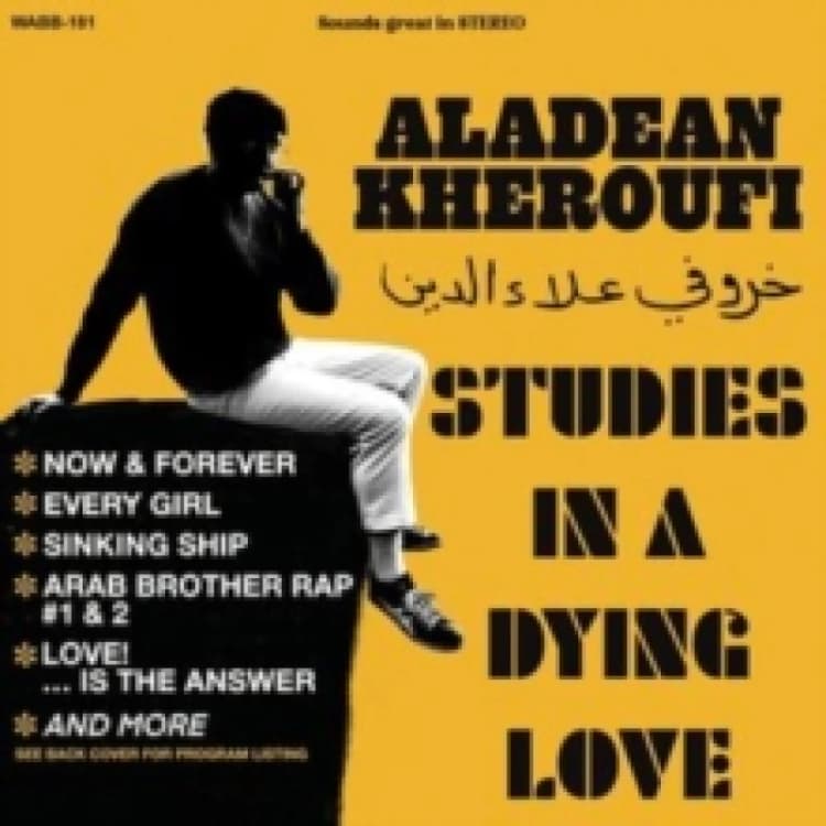 Image of Studies in a Dying Love Vinyl