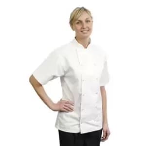 Image of BonChef Adults Danny Short Sleeved Chef Jacket (XL) (White)