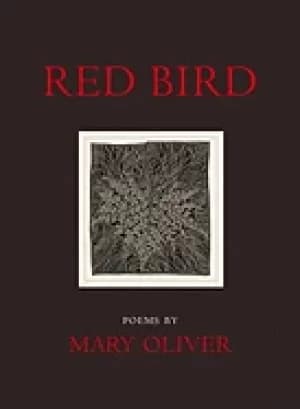 Image of red bird poems