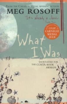 Image of What I Was by Meg Rosoff Paperback