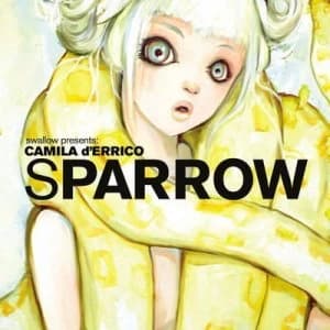 Image of Camilla Derrico by Camilla D Errico Hardback