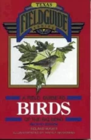 Image of field guide to birds of the big bend
