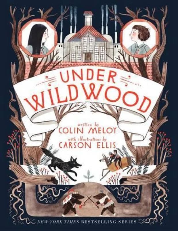 Image of Under Wildwood by Colin Meloy Book