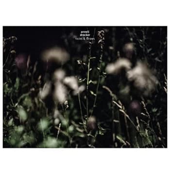 Image of Anneli Drecker - Rocks & Straws Vinyl