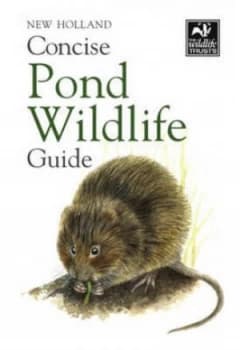 Image of Concise Pond Wildlife Guide by Bloomsbury Paperback