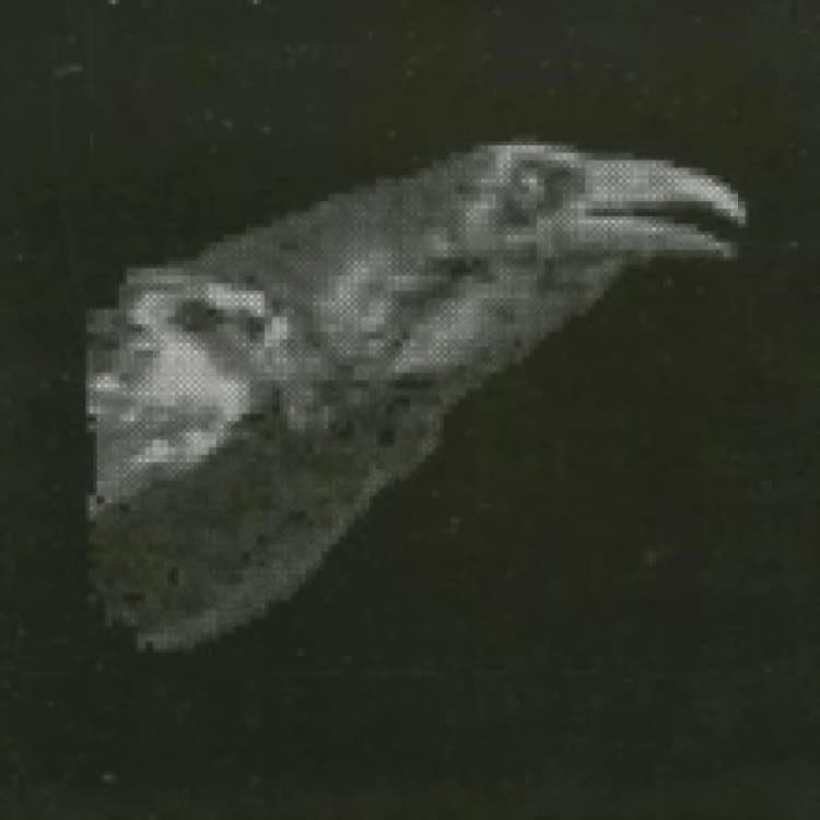 Image of Exit Decades CD / Album
