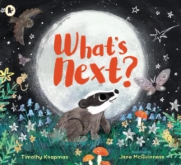 Image of Timothy Knapman What's Next? Book Multi unisex
