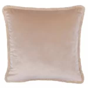 Image of Paoletti Freya Velvet Cushion Blush