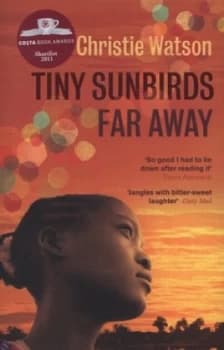 Image of Tiny Sunbirds Far Away by Christie Watson Paperback