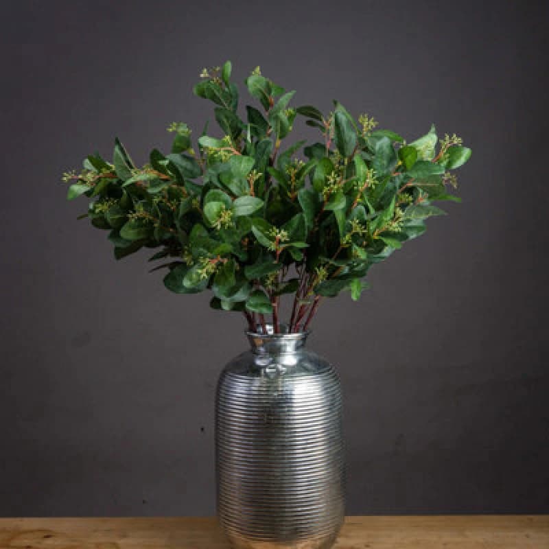 Image of Summer Seeded Eucalyptus