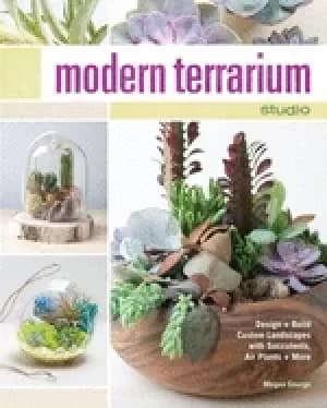 Image of modern terrarium studio design build custom landscapes with succulents air
