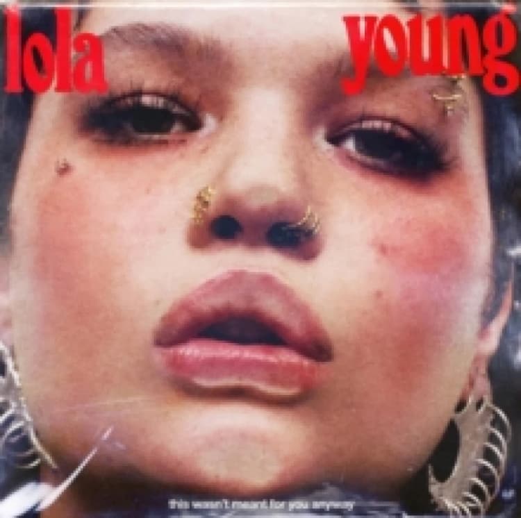 Image of This Wasn't Meant for You Anyway Vinyl
