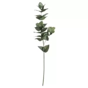 Image of Eucalyptus Filler