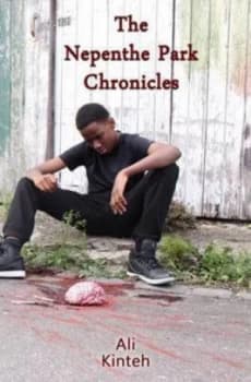 Image of The Nepenthe Park Chronicles by Ali Kintem Paperback
