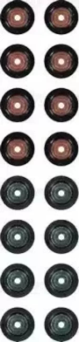 Image of Gasket Set 12-35546-01 by Victor Reinz