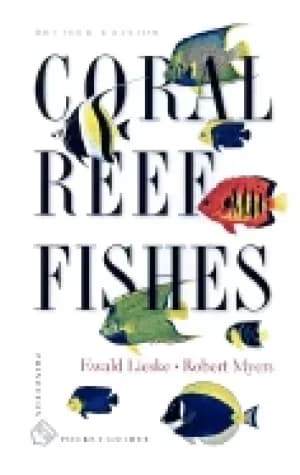 Image of coral reef fishes indo pacific and caribbean