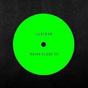 Image of Lloyd SB - Boida Flare Vinyl