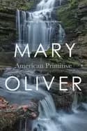 Image of american primitive
