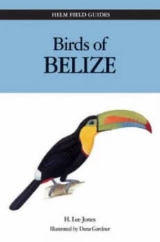 Image of Birds of Belize by H. Lee Jones