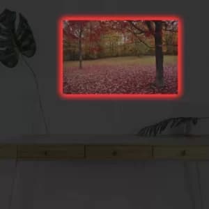 Image of 4570DHDACT-041 Multicolor Decorative LED Lighted Canvas Painting