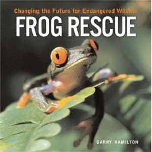 Image of Frog Rescue by Garry Hamilton Paperback
