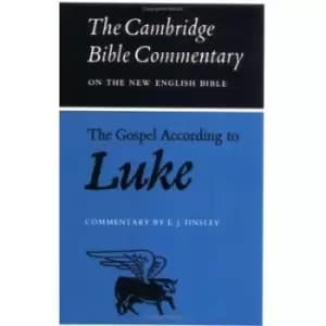 Image of The Gospel according to Luke by E. J. Tinsley