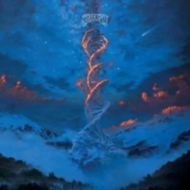 Image of Blueside Vinyl