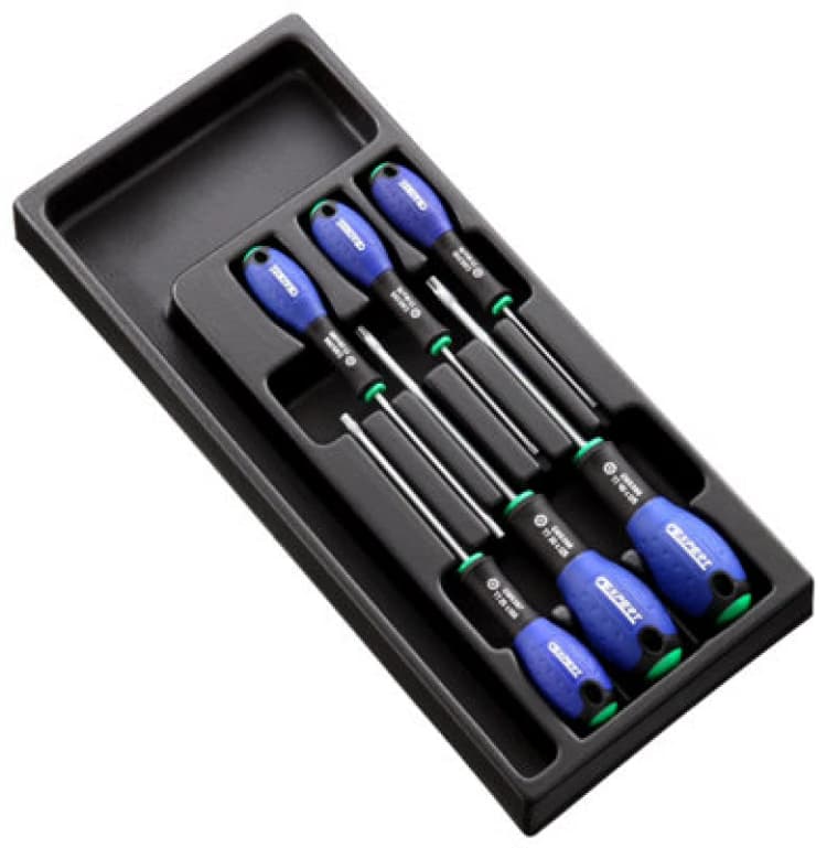 Image of Facom Expert by Facom E194941B - 6 Piece ResisTorx Screwdriver Module