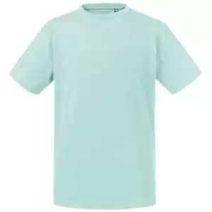 Image of Russell Kids/Childrens Pure Organic T-Shirt (11-12 Years) (Aqua)