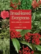 Image of broad leaved evergreens trees shrubs and climbers