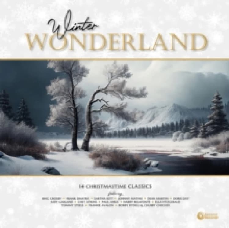 Image of Winter wonderland Vinyl