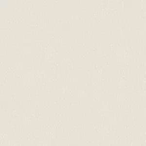 Image of Holden Pinto Cream Wallpaper
