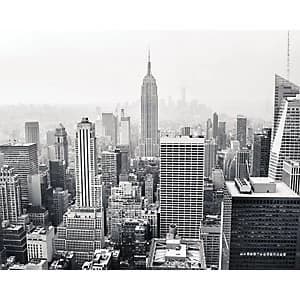 Image of ohpopsi Empire State Wall Mural Grey 19.6m XL