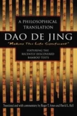 Image of dao de jing a philosophical translation