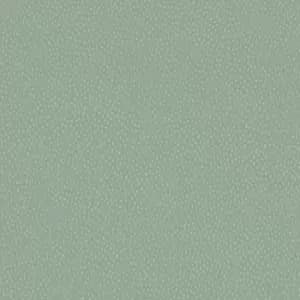 Image of Holden Decor Pinto Duck Egg Wallpaper