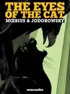 Image of eyes of the cat the yellow edition