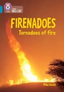 Image of Firenadoes: Tornadoes of fire : Band 13/Topaz