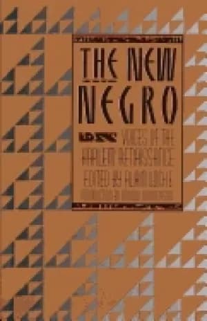 Image of new negro